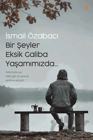 Bir Şeyler Eksik Galiba Yaşamımızda – İsmail Özabacı – Cinius Yayınları kitap kapağı