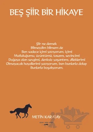Beş Şiir Bir Hikaye – Metin Karatay – Sokak Kitapları Yayınları kitap kapağı