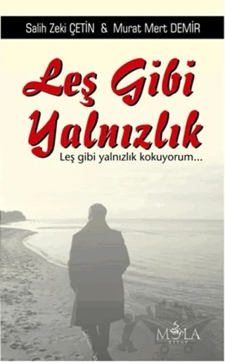 Leş Gibi Yalnızlık – Murat Mert Demir, Salih Zeki Çetin – Mola Kitap kitap kapağı