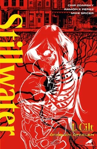 Stillwater 1 – Chip Zdarsky – Kara Karga Yayınları kitap kapağı