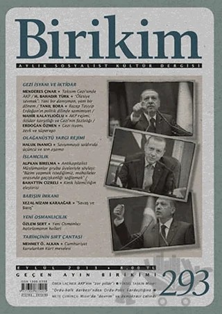 Birikim Aylık Sosyalist Kültür Dergisi Sayı: 293 – Birikim Yayınları kitap kapağı