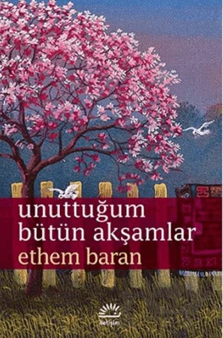 Unuttuğum Bütün Akşamlar – Ethem Baran – İletişim Yayınevi kitap kapağı