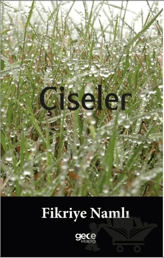 Çiseler – Fikriye Namlı – Gece Kitaplığı kitap kapağı