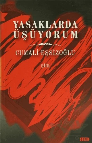 Yasaklarda Üşüyorum – Cumali Eşsizoğlu – Red Yayınları kitap kapağı