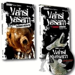 Vahşi Yaşam-Tehlikeli Etoburlar – Amy-Jane Beer, Pat Morris – Boyut Yayın Grubu kitap kapağı