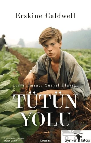 Tütün Yolu – Erskine Caldwell – Ayrıksı Kitap kitap kapağı
