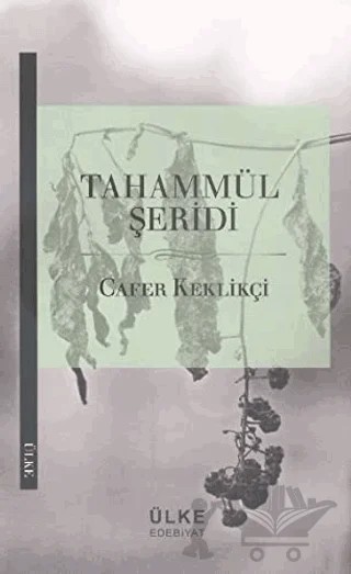 Tahammül Şeridi – Cafer Keklikçi – Ülke Kitapları kitap kapağı