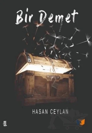 Bir Demet – Hasan Ceylan – Ateş Yayınları kitap kapağı