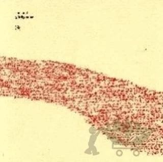 Yürüyenler – Tan Oral – Metis Yayınları kitap kapağı