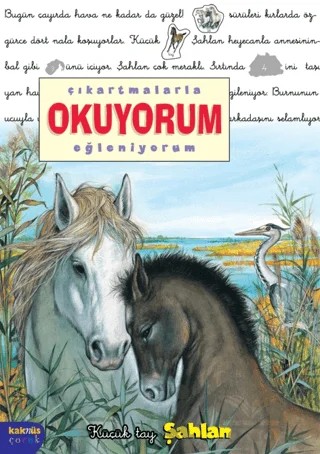 Çıkartmalarla Okuyorum Eğleniyorum -Küçük Tay Şahlan – Delphine Lacharron – Kaknüs Yayınları kitap kapağı