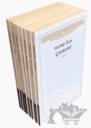 Seta Ferike Usiv 2 - Ferik Usiv Seti 2 – Kolektif – Lis Basın Yayın kitap kapağı