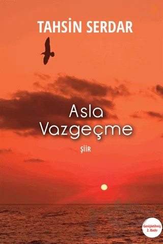 Asla Vazgeçme – Tahsin Serdar – Cinius Yayınları kitap kapağı