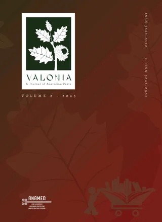 Valonia Volume II - 2025 – Koç Üniversitesi Anadolu Medeniyetleri Araştırma Merkezi ANAMED kitap kapağı