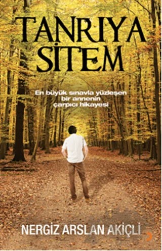 Tanrıya Sitem – Nergiz Arslan Akiçli – Cinius Yayınları kitap kapağı