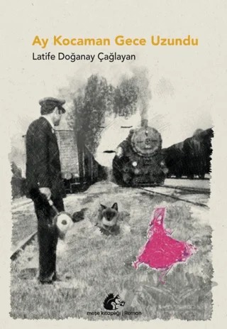 Ay Kocaman Gece Uzundu – Latife Doğanay Çağlayan – Meşe Kitaplığı kitap kapağı