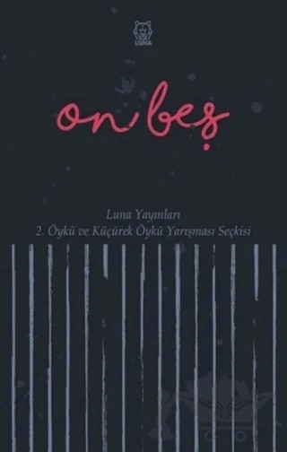On Beş – Kolektif – Luna Yayınları kitap kapağı