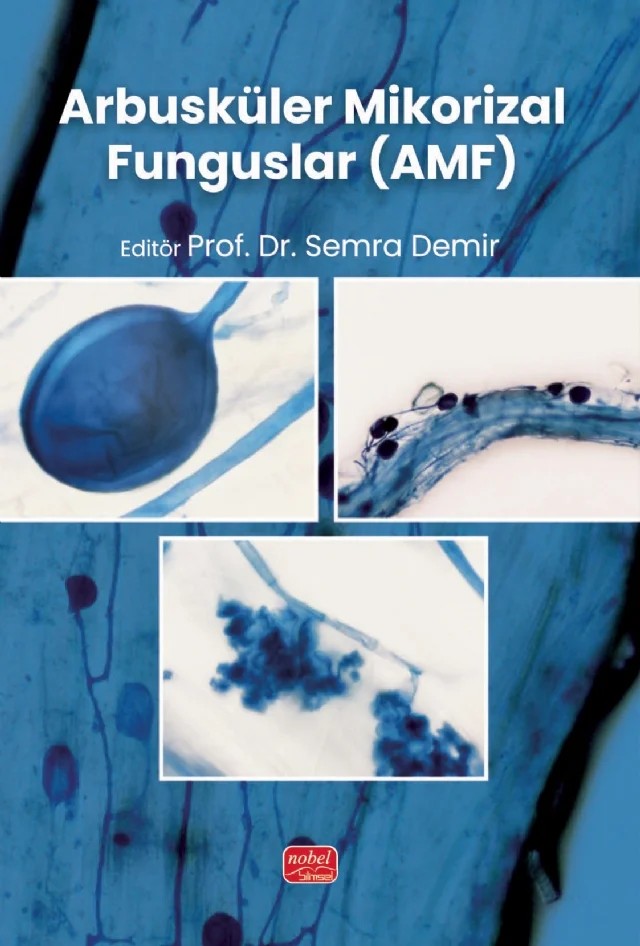 Arbusküler Mikorizal Funguslar (AMF) – Ahmet Akköprü, Emre Demirer Durak, Enes Fidan, Evin Polat Akköprü, Gökhan Boyno, Hasret Güneş, Melek Ağırtmış, Semra Demir, Younes Rezaee Danesh – Nobel Bilimsel Eserler kitap kapağı