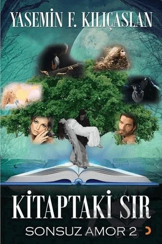 Kitaptaki Sır – Yasemin F. Kılıçaslan – Cinius Yayınları kitap kapağı