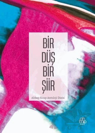 Bir Düş Bir Şiir – Kolektif – Ahbap Kitap kitap kapağı