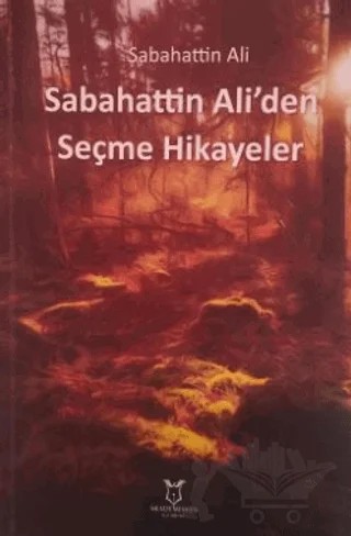 Sabahattin Ali`den Seçme Hikayeler – Sabahattin Ali – Akademisyen Kitabevi kitap kapağı