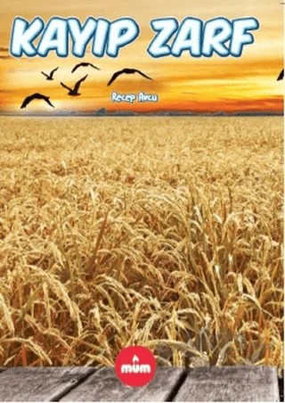Kayıp Zarf – Recep Avcu – Mum Yayınları kitap kapağı