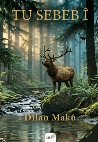 Tu Sebeb İ – Dilan Maku – Sitav Yayınevi kitap kapağı