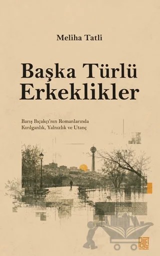 Başka Türlü Erkeklikler – Meliha Tatli – Palet Yayınları kitap kapağı