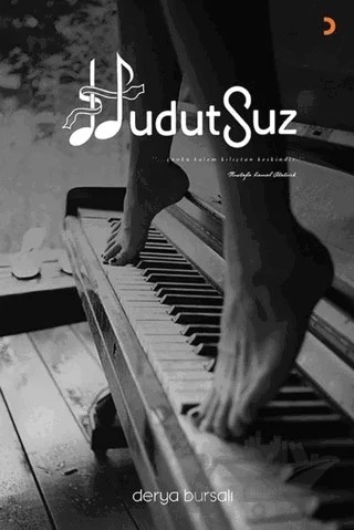 Hudutsuz – Derya Bursalı – Cinius Yayınları kitap kapağı