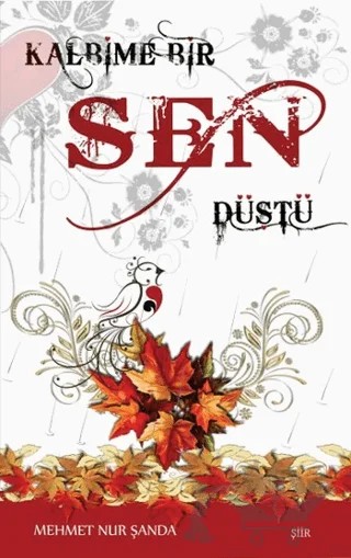 Kalbime Bir Sen Düştü – Mehmet Nur Şanda – Zinde Yayıncılık kitap kapağı
