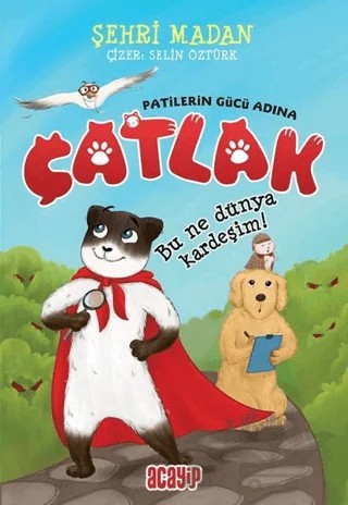 Bu Ne Dünya Kardeşim! - Çatlak – Şehri Madan – Acayip Kitaplar kitap kapağı