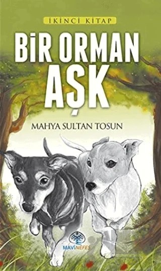 Bir Orman Aşk – Mahya Sultan Tosun – Mavi Nefes Yayınları kitap kapağı