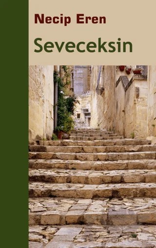 Seveceksin – Necip Eren – Sınırsız Kitap kitap kapağı