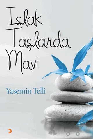 Islak Taşlarda Mavi – Yasemin Telli – Cinius Yayınları kitap kapağı