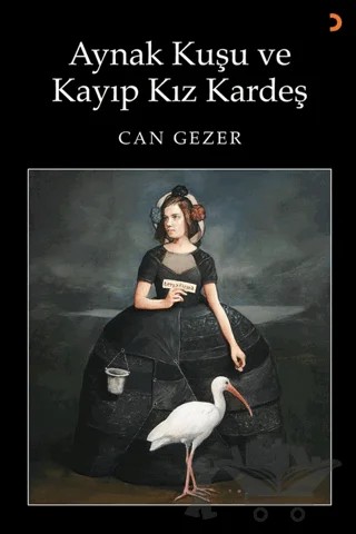 Aynak Kuşu ve Kayıp Kız Kardeş – Can Gezer – Cinius Yayınları kitap kapağı