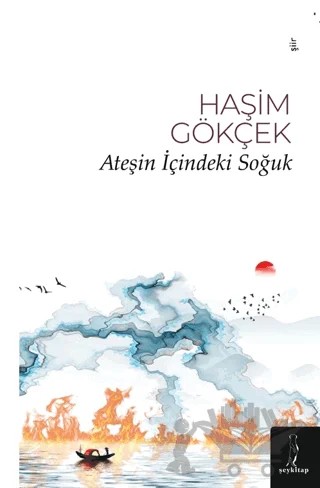 Ateşin İçindeki Soğuk – Haşim Gökçek – Şey Kitap kitap kapağı