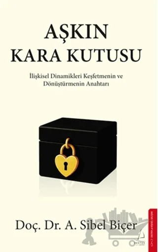 Aşkın Kara Kutusu – A. Sibel Biçer – Destek Yayınları kitap kapağı