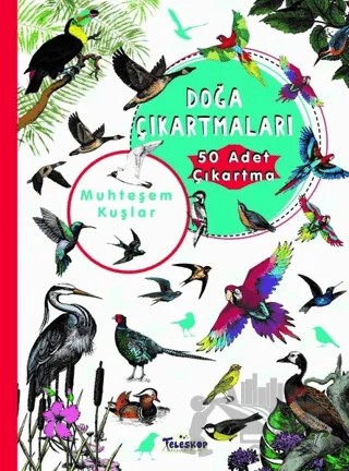 Muhteşem Kuşlar Doğa Çıkartmaları – Kolektif – Teleskop Popüler Bilim kitap kapağı