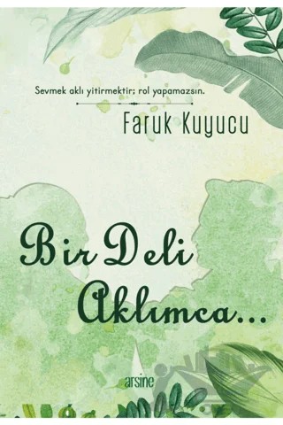 Bir Deli Aklımca – Faruk Kuyucu – Arsine Yayıncılık kitap kapağı