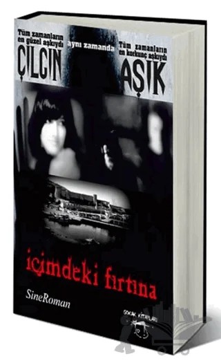 Çılgın Aşık - İçimdeki Fırtına – Ergun Arslan – Sokak Kitapları Yayınları kitap kapağı