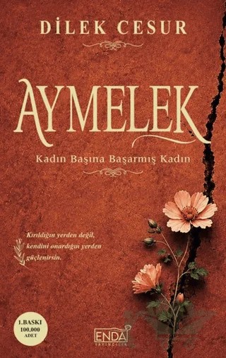 Aymelek – Dilek Cesur – Enda Yayıncılık kitap kapağı