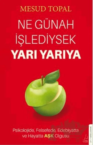 Ne Günah İşlediysek Yarı Yarıya – Mesud Topal – Destek Yayınları kitap kapağı