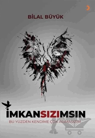 İmkansızımsın – Bilal Büyük – Cinius Yayınları kitap kapağı