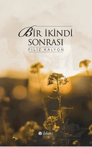 Bir İkindi Sonrası – Filiz Kalyon – İldem Yayınları kitap kapağı