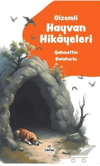 Gizemli Hayvan Hikayeleri – Şahmettin Balahorlu – Ravza Yayınları kitap kapağı