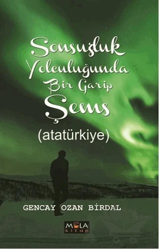 Sonsuzluk Yolculuğunda Bir Garip Şems – Gencay Ozan Birdal – Mola Kitap kitap kapağı