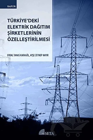 Türkiye'deki Elektrik Dağıtım Şirketlerinin Özelleştirilmesi – Ayşe Zeynep Nayır, Erdal Tanas Karagöl – Seta Yayınları kitap kapağı