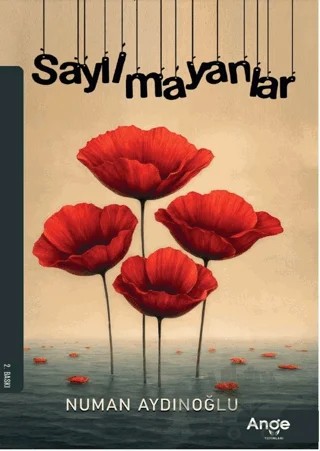 Sayılmayanlar – Numan Aydınoğlu – Ange Yayınları kitap kapağı