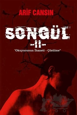 Songül - 2 – Arif Cansın – Sokak Kitapları Yayınları kitap kapağı