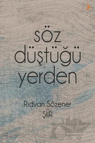 Söz Düştüğü Yerden – Rıdvan Sözener – Cinius Yayınları kitap kapağı