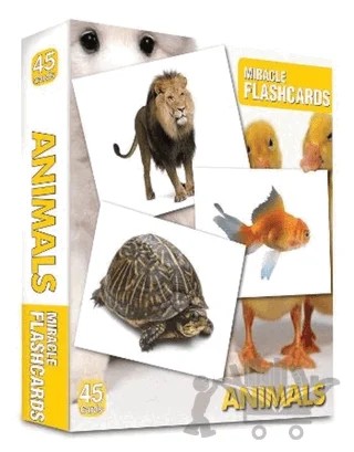 Miracle Flashcards - Animals Box 45 Cards – Kolektif – MK Publications kitap kapağı
